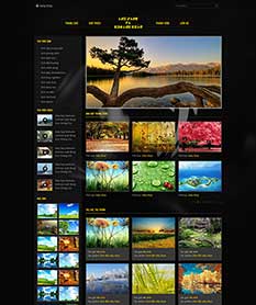 Mẫu thiết kế web thư viện hình ảnh Photographic